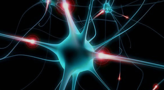 <span style="color: rgb(31, 31, 31);">Нейрохирурги</span>