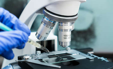 <strong>Форум «Студенческая наука»</strong>