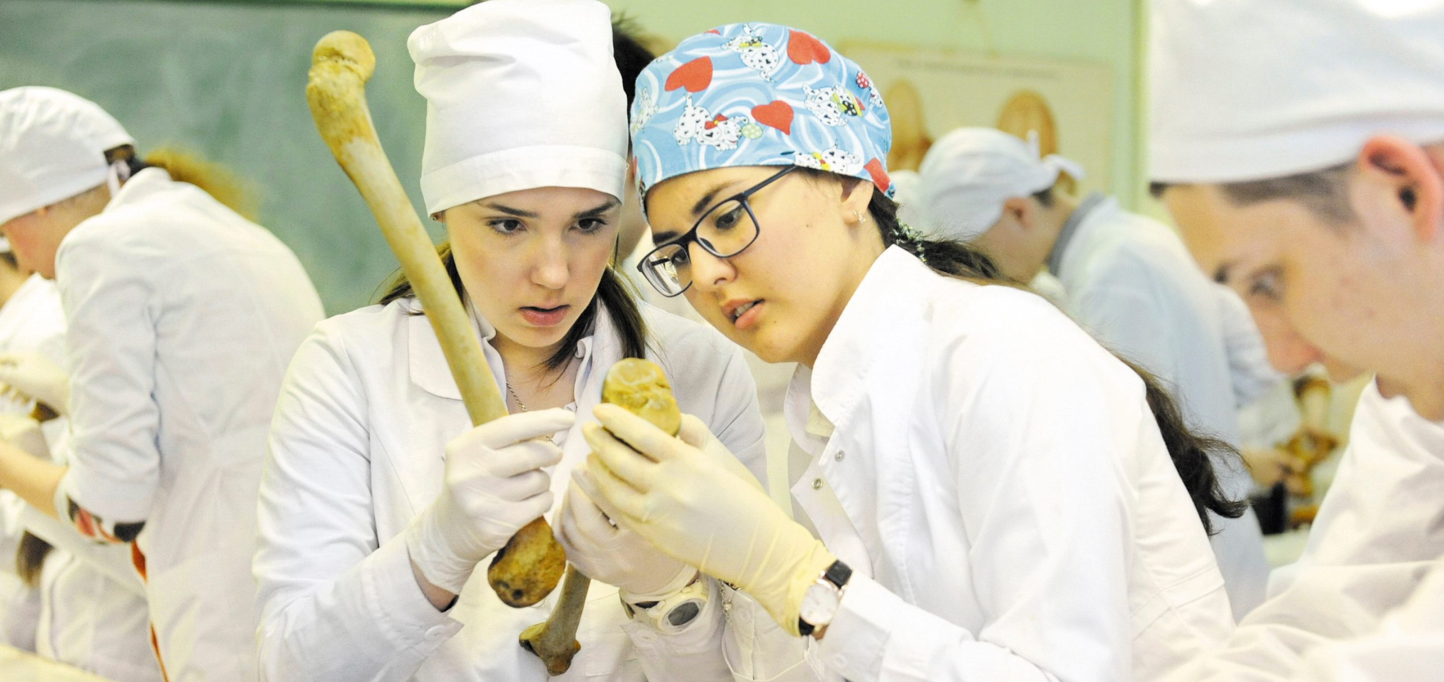 Факультет «Лечебное дело»