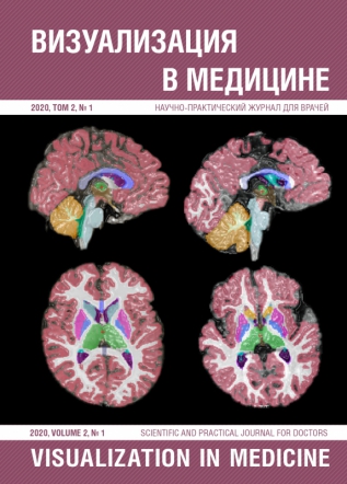 Научно-практический журнал для врачей "Визуализация в медицине (Visualization in medicine)"