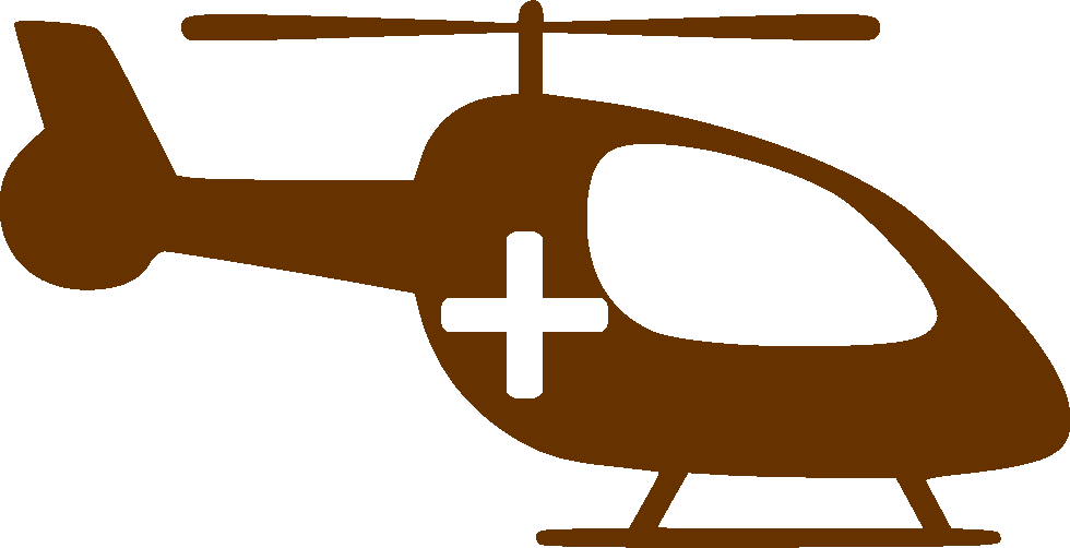 <span>Если патология выявлена после рождения, возможно проведение <strong>телемедицинской консультации</strong>, перевод ребёнка санитарной авиацией в Перинатальный центр СПбГПМУ, а при трудностях транспортировки — выезд хирургической бригады для проведения операции на месте.</span>