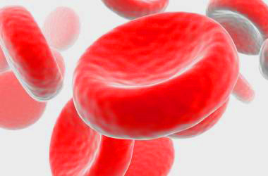 <span style="color: rgb(31, 31, 31);">Гематологи</span>