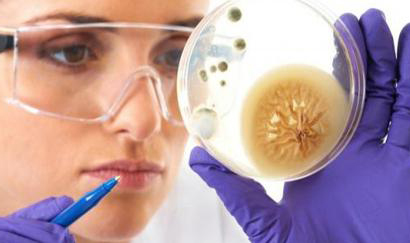 <span style="color: rgb(31, 31, 31);">Инфекционисты</span>