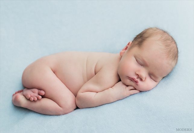 <span style="color: rgb(31, 31, 31);">Эмбриологи</span>